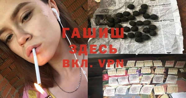 шишки Богородицк