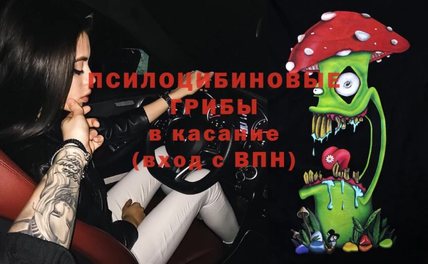 ПСИЛОЦИБИНОВЫЕ ГРИБЫ Бугульма