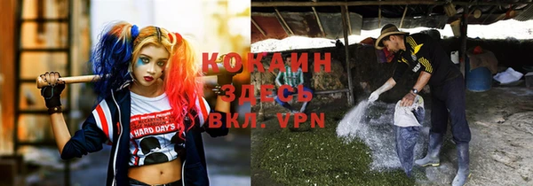 ПСИЛОЦИБИНОВЫЕ ГРИБЫ Бугульма